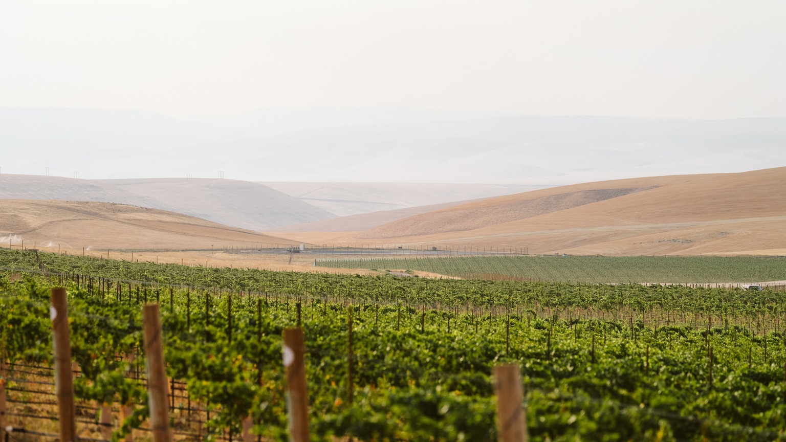 Grosgrain estate still, official winery photograph