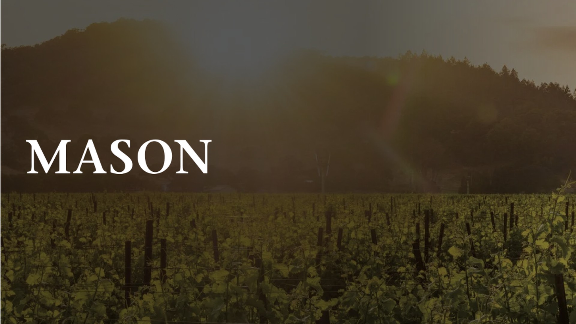 Mason vineyard banner, Napa Valley hillside