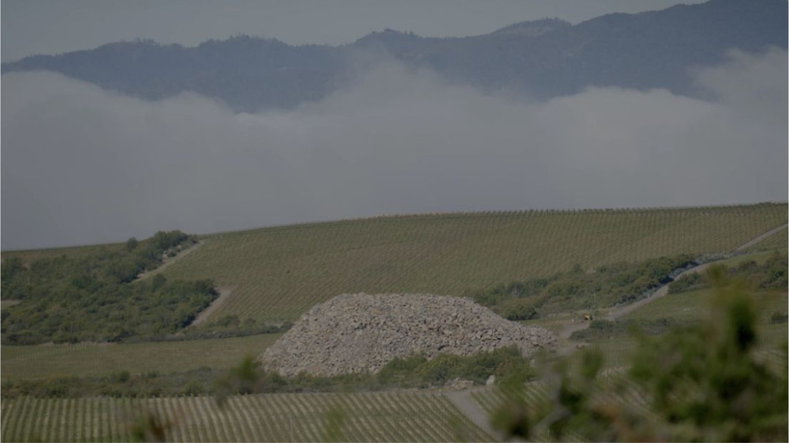 Stagecoach Vineyard rows on a mountain, with a mound of volcanic stone in the foreground