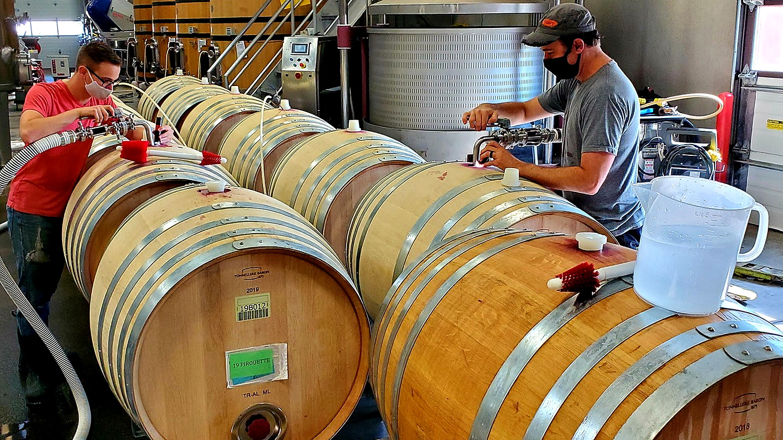 Filling French oak barrels at the Long Shadows winery in Walla Walla