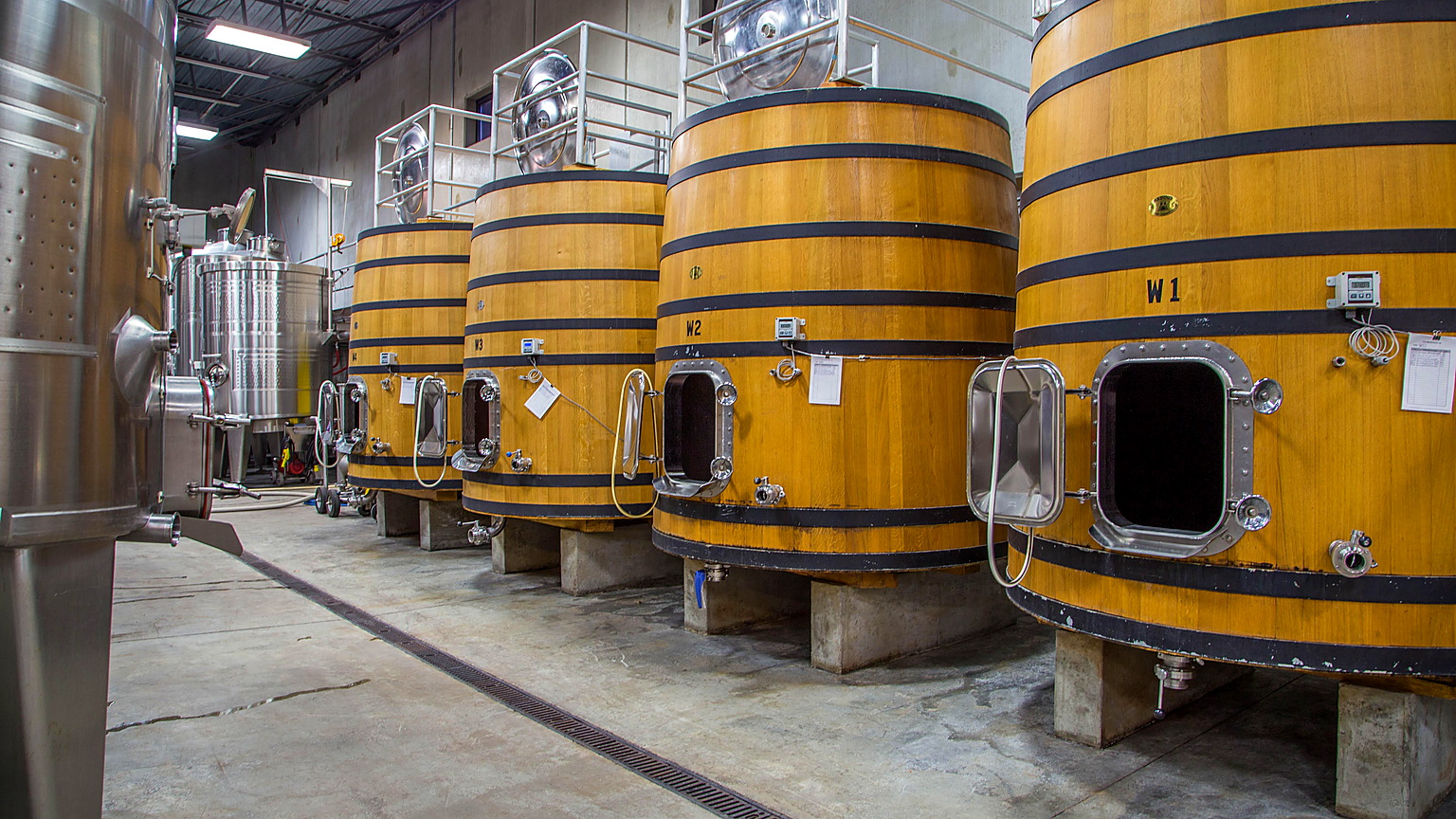 Wood fermenters in the Long Shadows cellar in Walla Walla