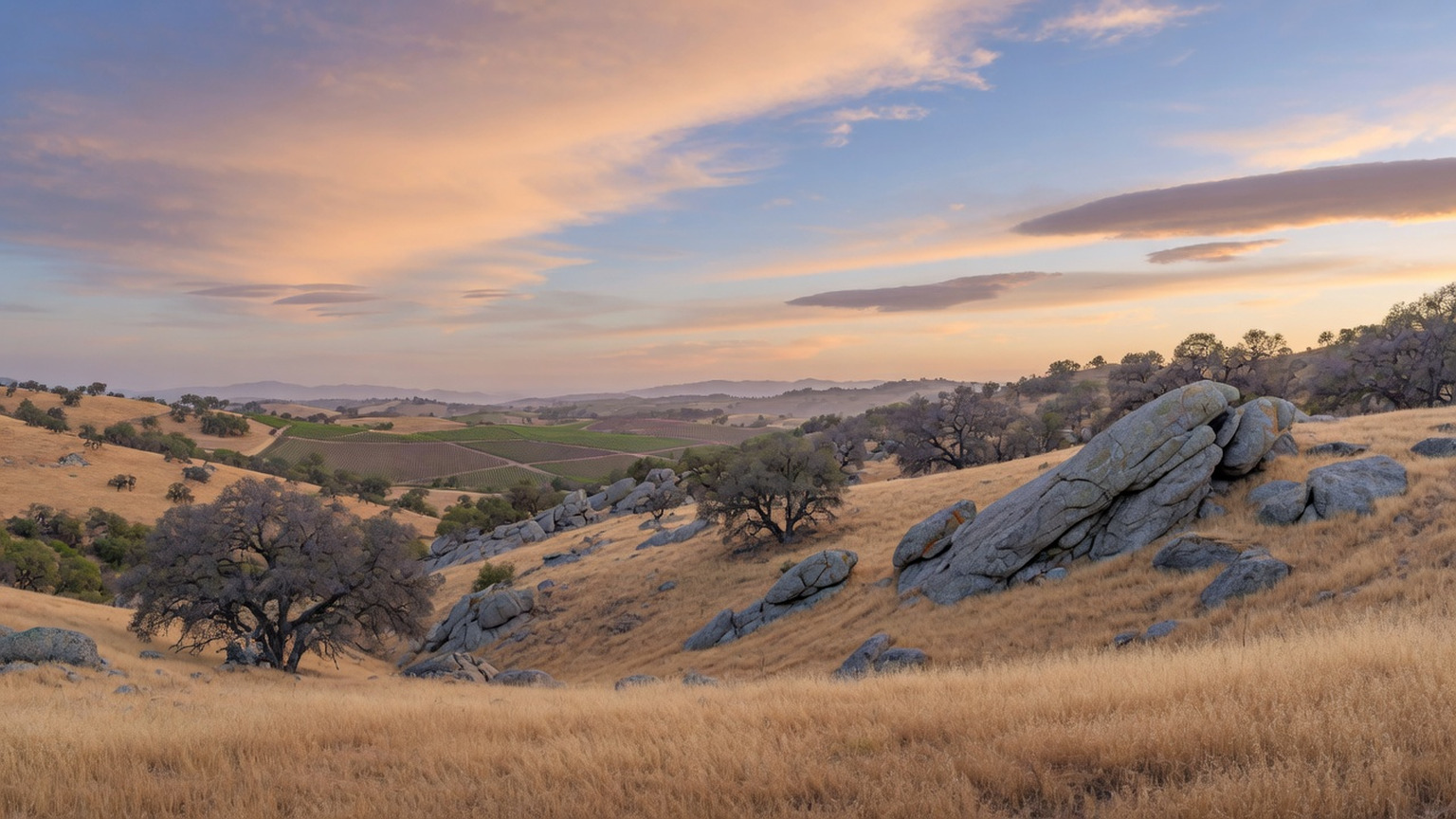 Sierra Foothills hills of gold grass, granite outcrops, and distant vineyard