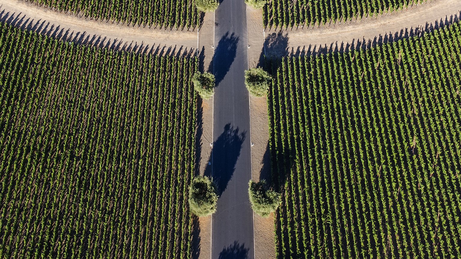 The Opus One estate road in Oakville