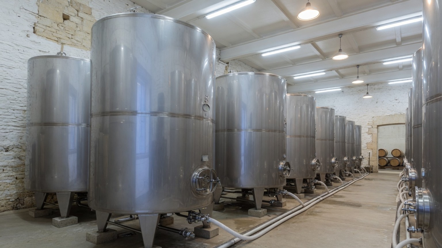 Rows of stainless steel wine tanks
