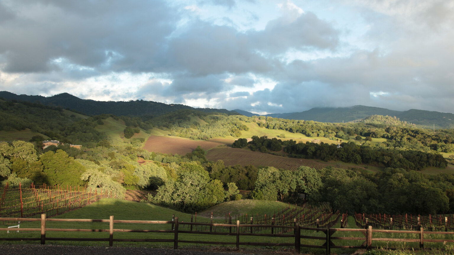 Panoramic view across the hills surrounding Three Twins Vineyard