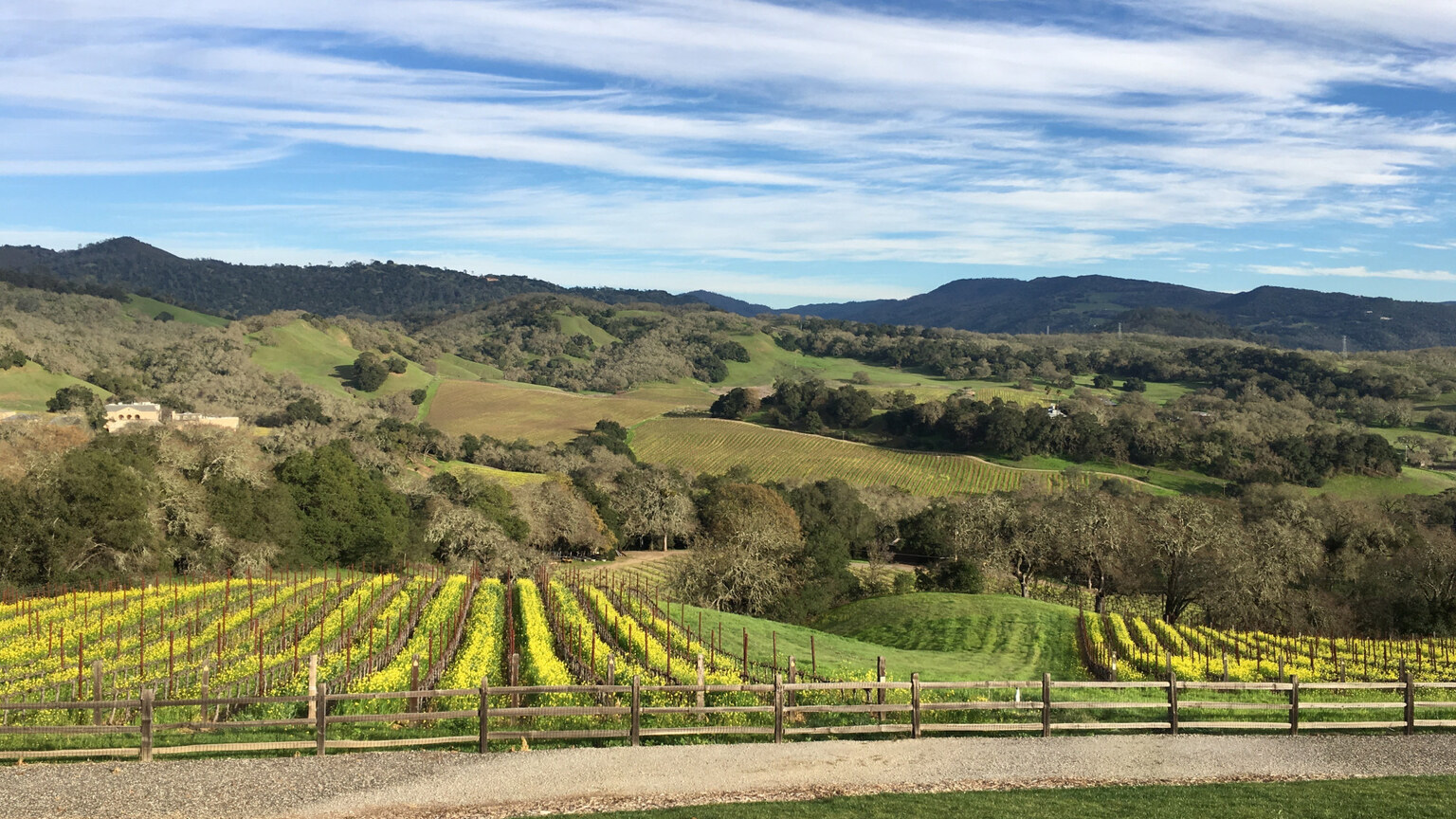 Wide view of Three Twins Vineyard and the surrounding Napa hills
