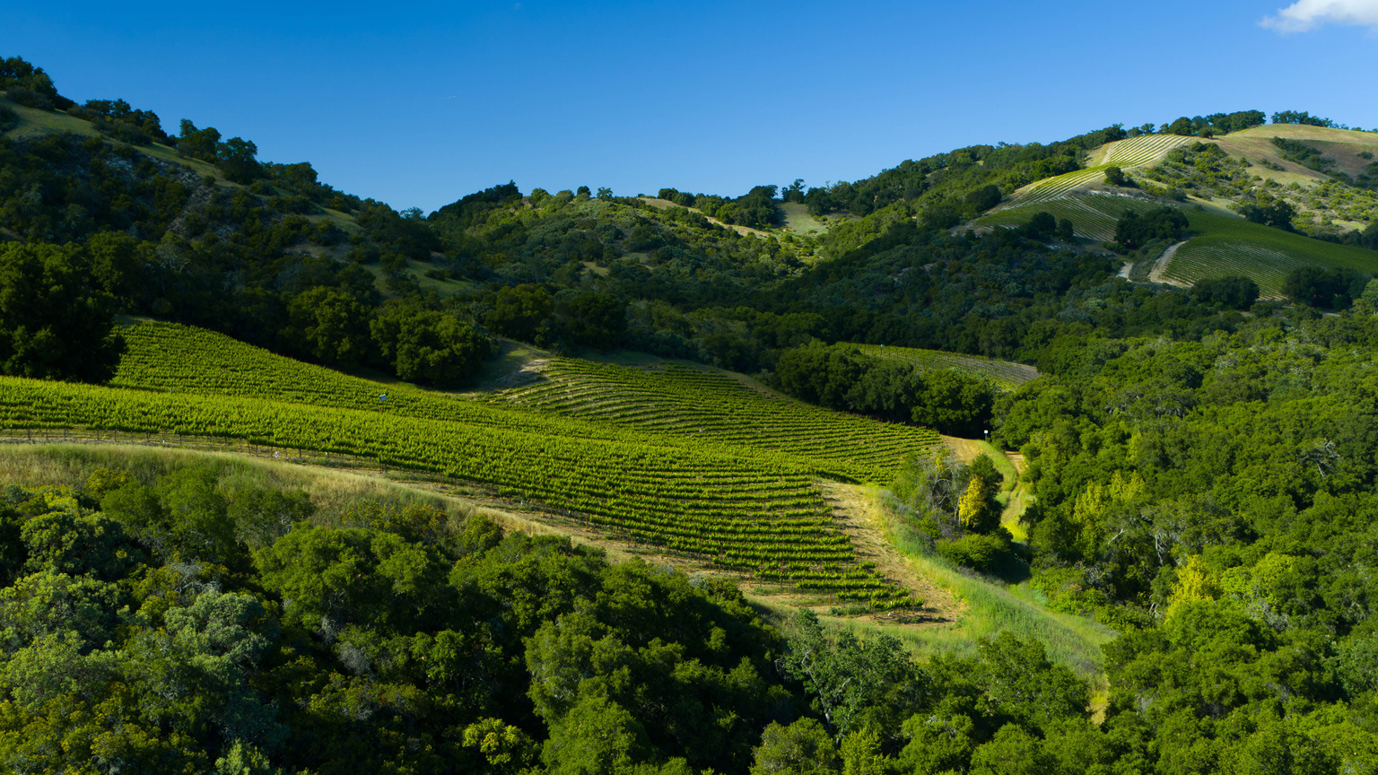 Vina Robles Terra Bella vineyard across the Adelaida District hills