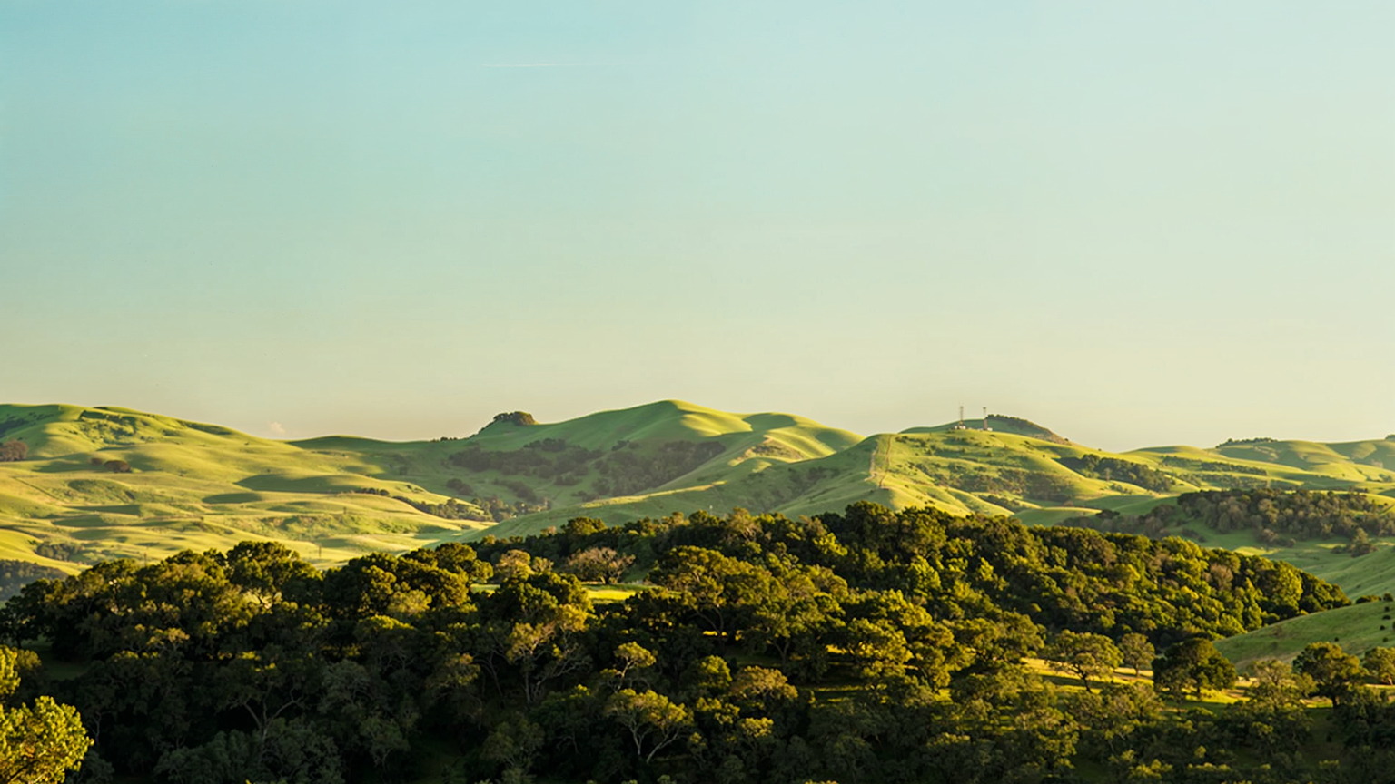 Suisun Valley hills above the vineyards