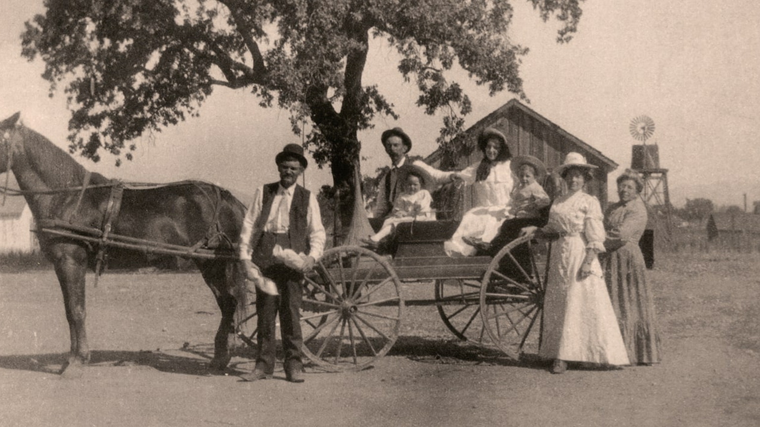 The Glos family with a horse and wagon in Napa Valley
