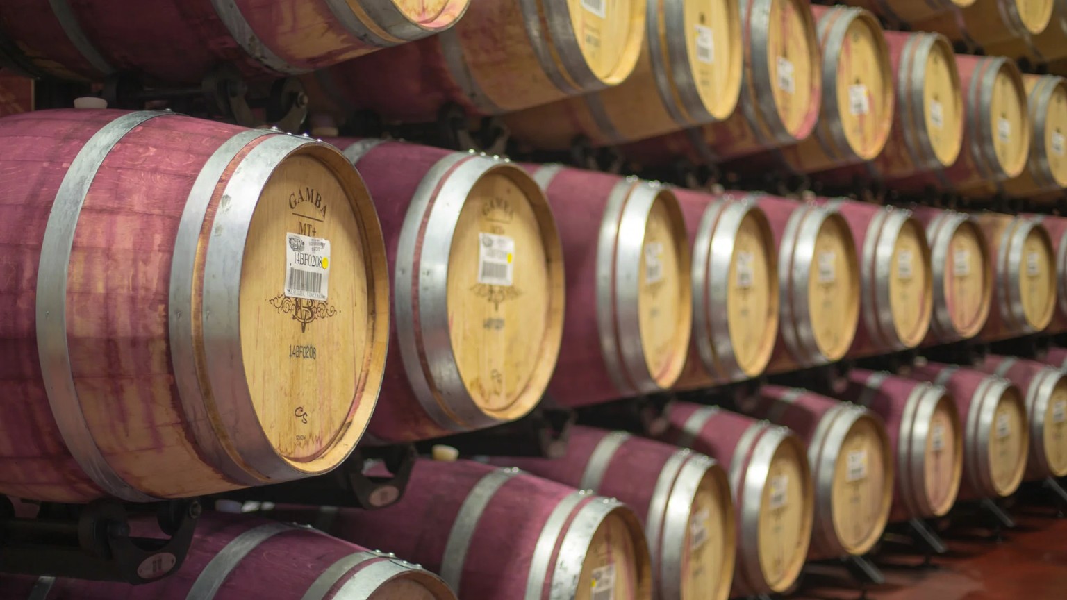 Rows of French oak barrels stacked in the Beaulieu cellar