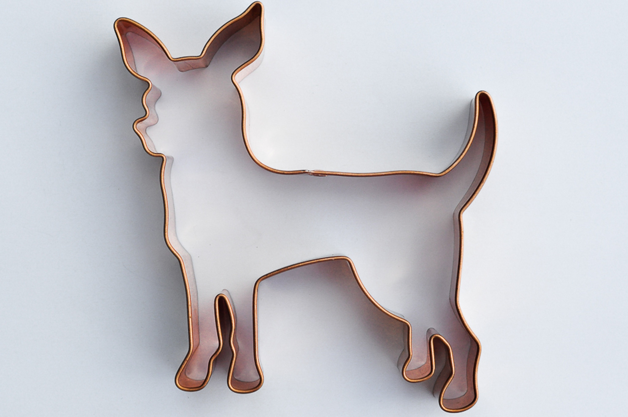 chihuahua cookie cutter