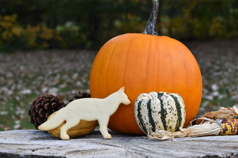 FOX - ecrandal handmade copper cookie cutters
