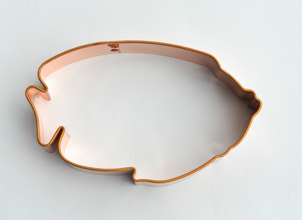 EMPEROR ANGELFISH ADULT