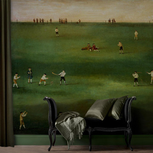 An Exact Representation of the Game of Cricket Bespoke Mural - 142469_ROOMSET_01.jpg