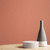 Sienna Paint