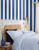 joules harborough stripe coast blue wallpaper