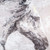 classical horse canvas wall art