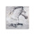 Classical Horse Canvas Wall Art
