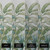 Congo Sage Bespoke Mural