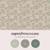 Paloma Spring Wallpaper - 145465_FLATLAY_PALOMA_SPRING_01.jpg
