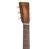 Martin D-15M StreetMaster Acoustic Guitar - Mahogany Burst