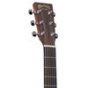 Martin D-X1E Acoustic Guitar - Spruce