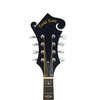 Gold Tone GM-35 F-Style Mandolin with case