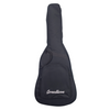 Breedlove Wildwood Pro Concerto CE Acoustic Guitar - Suede