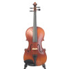 P. Mathias AAA 15 1/2" Viola Outfit