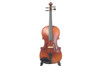 P. Mathias AAA 16" Viola Outfit - front view