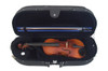 P. Mathias AAA 16" Viola Outfit - in case