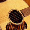 L.R. Baggs Element VTC Undersaddle Acoustic Guitar Pickup installed