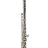 Trevor James Virtuoso Flute - Offset G, Split EC