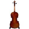 Andreas Eastman VL605S 4/4 ViolinC