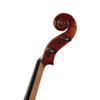 Andreas Eastman VL605S 4/4 ViolinD