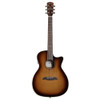 Alvarez Artist Elite Grand Auditorium Acoustic Guitar - Shadowburst