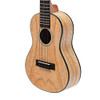 Kala Cape Lilac Mahogany Concert Ukulele