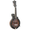 Gold Tone F-6 F-Style Mando-Guitar with Pickup