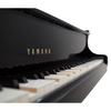 Yamaha GB1K Grand Piano with Disklavier Enspire Classic - Polished Ebony