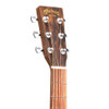 Martin GPC-X2E Acoustic Guitar - Ziricote HPL