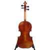 Albert Nebel VL601S Violin