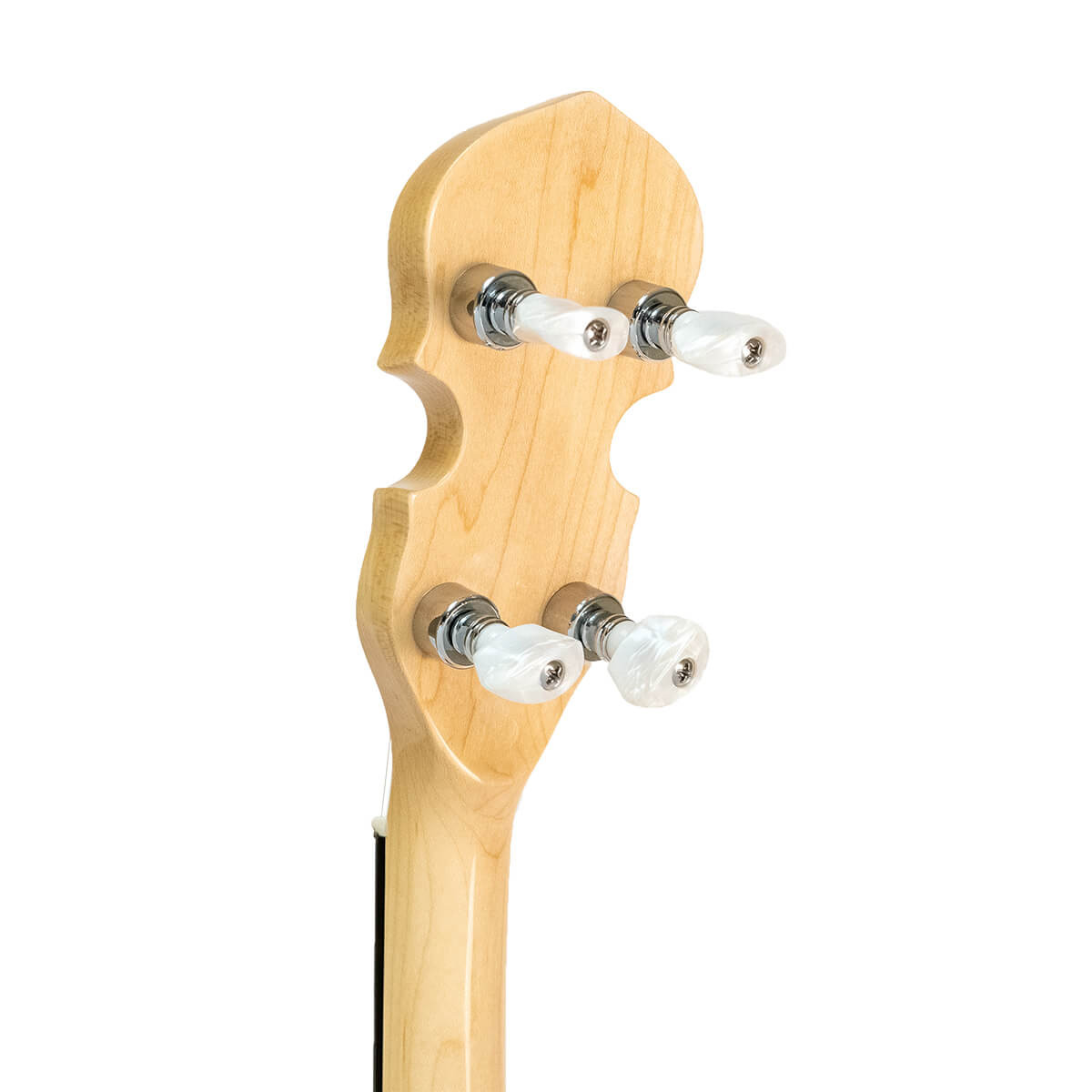 Heid Music | Gold Tone CC-100R Cripple Creek Resonator Banjo