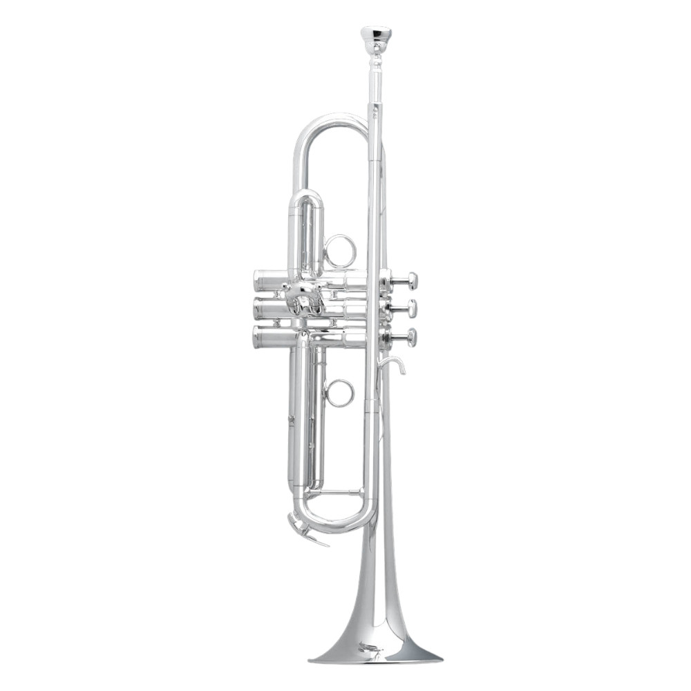 Amazon.com: Schilke Tuba Mouthpiece - 69C4 : Musical Instruments