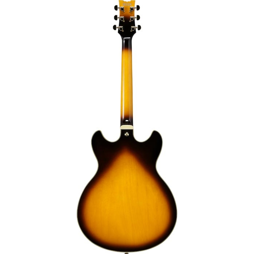Heid Music | Ibanez JSM10EM John Scofield Hollowbody Electric