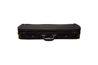Angel Strings CP01M Violin Case - Black/Green