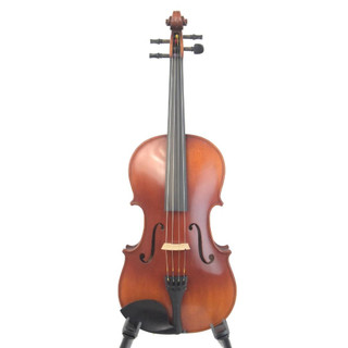 P. Mathias AAA 15 1/2" Viola Outfit