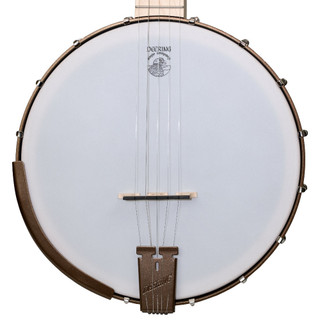 Deering Goodtime 5-String Openback Banjo