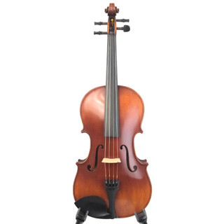 Used P. Mathias AAA 16" Viola Outfit