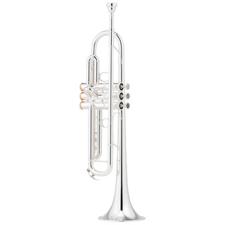 Yamaha YTR-8335IIRSKG Limited Edition Kangakki Xeno Trumpet