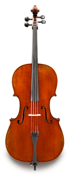 Eastman Albert Nebel VC601S Cello - front view